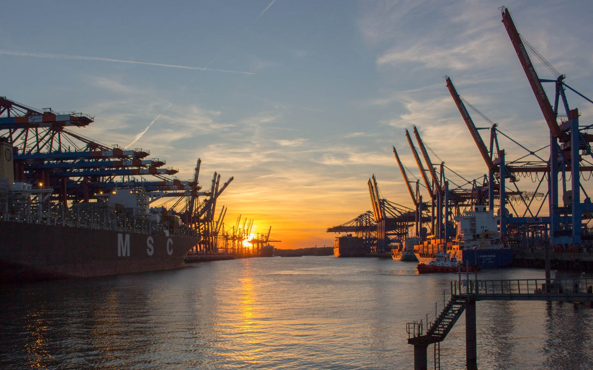 Bim Management Hamburg