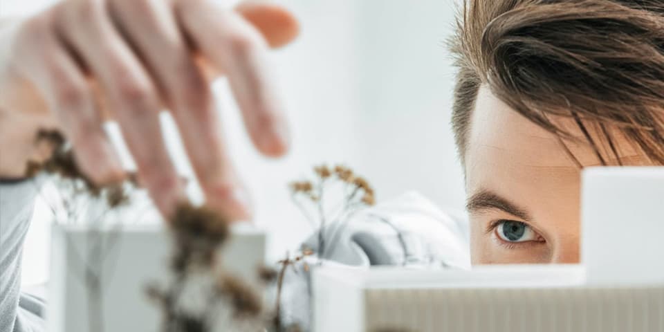 BIM Management und Projektsteuerung